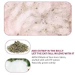 Legendog 5Pcs Catnip Toy, Cat Chew Toy Bite Resistant Catnip Toys for Cats,Catnip Filled Cartoon Mice Cat Teething Chew Toy (Multicolor1) - Image 5