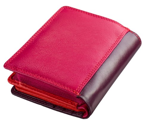 Visconti RB40 Multi Colored Small Soft Leather Ladies Wallet & Purse (Plum Multi)3