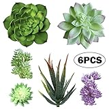 Yblntek Artificial Succulent Plants, Assorted Succulent Picks Fake Succulents Unpotted for Floral Arrangement Home Decoration, 6 Pieces