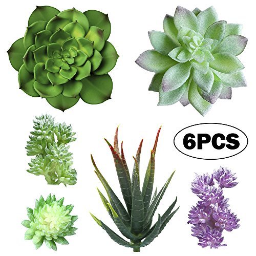 YBLNTEK Artificial Succulent Plants, Assorted Succulent Picks Fake Succulents Unpotted for Floral Arrangement Home Decoration, 6 Pieces