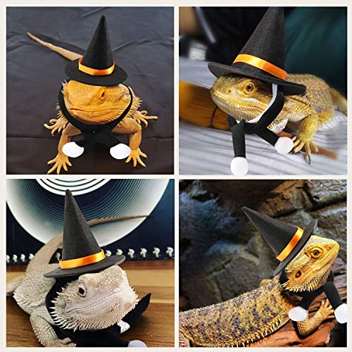 Bwogue Small Animals Costume Halloween Wizard Hat With Scarf Muffler Guinea Pig Halloween Costumes Witch Head Accessories For Rabbit Hamster Rats Kitten Bearded Dragon And Small Animals #TOP6