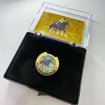 コ*ン様 JRA殿堂入り馬 ピンバッジ　セット コ*ン様 JRA殿堂入り馬 ピンバッジ セット yirallさん専用 JRA