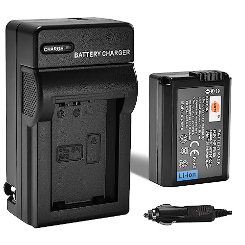 DSTE Replacement for NP-FW50 Battery + DC107 Travel and Car Charger Adapter Compatible with Sony Alpha 7 7R 7R II 7S a7R a7S a7R II a5000 a5100 a6000 NEX-7 SLT-A37 DSC-RX10