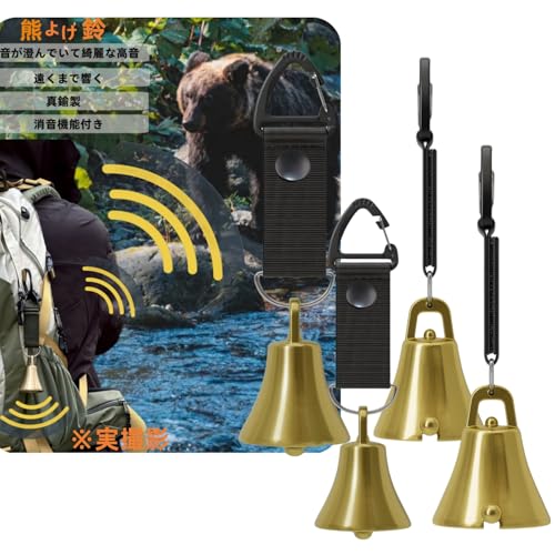 F @\t F悯yvoRƐzF悯x 剹ʓoR gbLO R R؎ F  x ^J (Black*4)