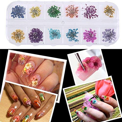 Pegatina de uñas 3D de Broadroot diseño de flores secas para decoración de uñas Cover