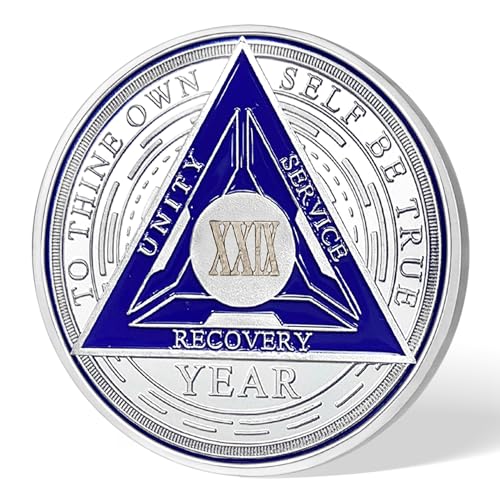 Image of Imasoner 29 Year Sobriety Coin Alcoholics Anonymous Medallion Sobriety Chip Anniversary Token Recovery Gift
