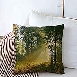 Satin Kissenbezug verwendet 100% Polyester Satin, um elastischer als Satin und Seide Kissenbezüge mit einem unverwechselbaren Gefühl und glänzendem Aussehen zu bieten