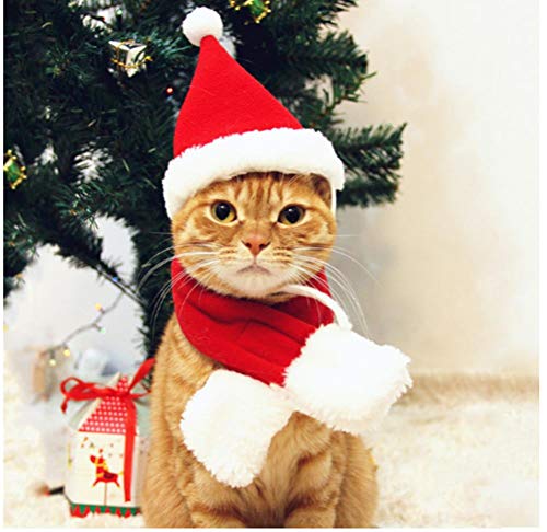 Poluka - Cappello da Babbo Natale con sciarpa per