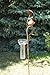 Produktbild amicaso Regenmesser lustiger Rabe mit Regenschirm Gartendeko Niederschlagsmesser Wetterstation Metall