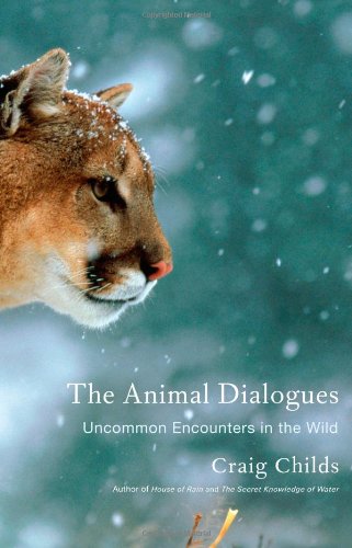 Exploring the Unseen: Unusual Animal Interactions in Nature