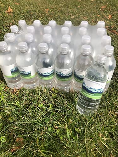 PAULA'S MOUNTAIN SPRING WATER 24 - 20 FL OZ BOTTLES