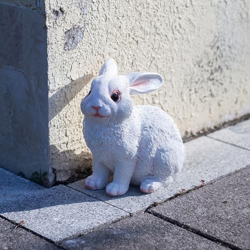 JAnjiaLxY K[fI[ig u F   e Aj} ETM K[fjO    G ϋv i v[g   O  Ki o 蕨 CeA Aj}IuWF G ^Cv5