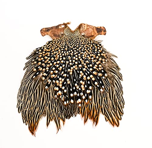 Fly Tying Hackle Feathers Neck Cape Jungle Cock by Muskoka Lifestyle Products