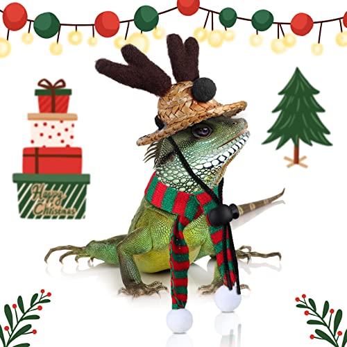 7 Pieces Christmas Bearded Dragon Santa Hat Scarf Lizard Leash Harness Set Bearded Dragon Costume Christmas Lizard Scarf Hat Xmas Lizard Costume Accessories For Reptile Christmas Cosplay Photo Prop #TOP3