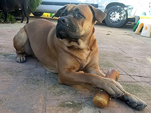 ARTISAN GIFT CO Olivenholz Kauspielzeug für Hunde 100% Natürliches (XL-24 cm) Sparpaket 2 Stück