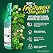 GuruNanda Fresh Breath Mouthwash, ADA-Accepted, Alcohol & Fluoride-Free, Sodium Chlorite, Essential Oils & Vitamins, 12-Hrs Fresh Breath, Wild Mint, 16 oz