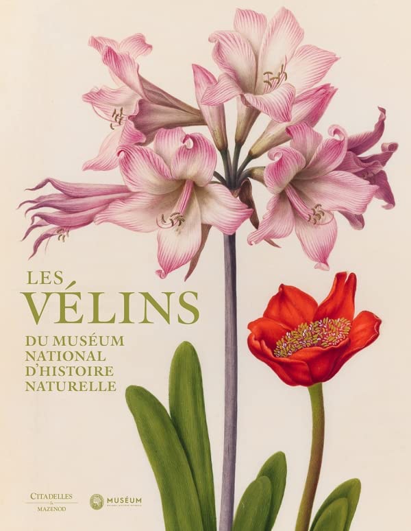 Les vélins du Muséum d'histoire naturelle : l'émotion de l'art naturaliste gravée dans le temps