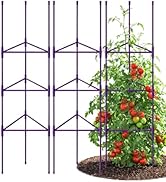 Amazon.com : NO Splicing - 5ft Tall Tomato Cage 6-Pack Large