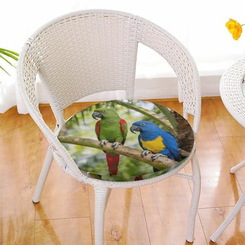 Almohadilla circular suave para silla de hogar con diseño de loro y funda lavable de 39cm 7