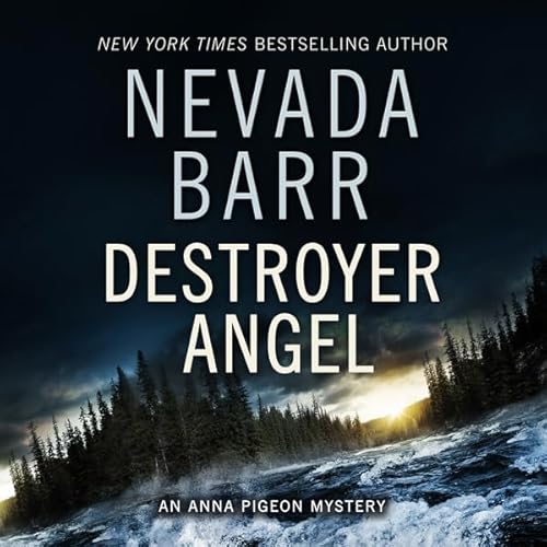 Destroyer Angel Audiolivro Por Nevada Barr capa