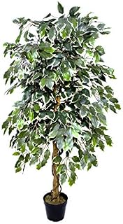 GreenBrokers Premium Artificial Variegated Ficus Tree 160 cm Potted Plant, Green