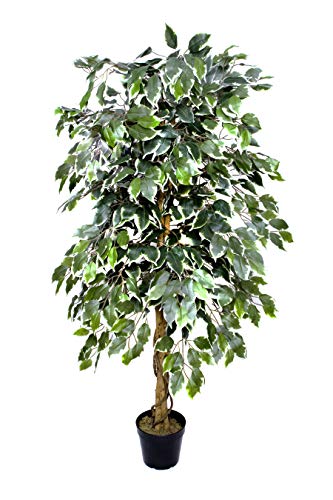 Albero artificiale di Ficus variegato di alta qualità 160 cm pianta in vaso verde