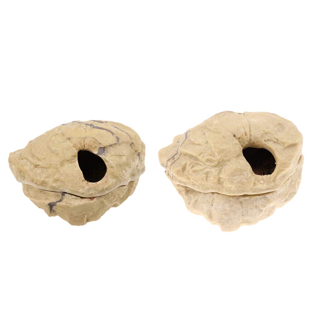 Set di 2 grotte nascoste in resina per rettili con coperchio, decorazione ornamentale a forma di tartaruga a forma di pesce