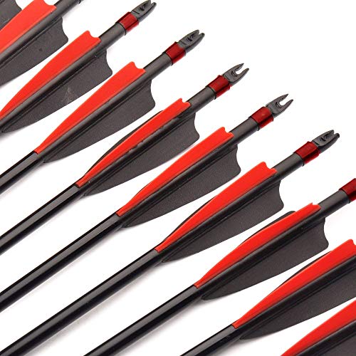 ANTSIR 30 Inches Spine 500 Fiberglass Arrow Diameter 8mm with Explosion-Proof for Recurve/Compound Bow Archery Hunting Shooting