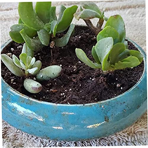 Grand pot de fleurs en céramique durable avec trou de drainage intégré - 4
