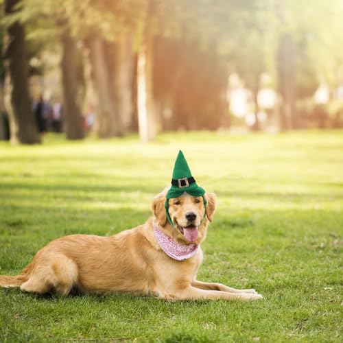 Sombrero Disfraz Halloween para Perros Pequeños miniatura 5