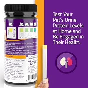 CheckUp Testing Strips x 50 (Protein Urine Test Strips for Cats & Dogs) CheckUp Testing Strips x 50 (Protein Urine Test Strips for Cats & Dogs)
