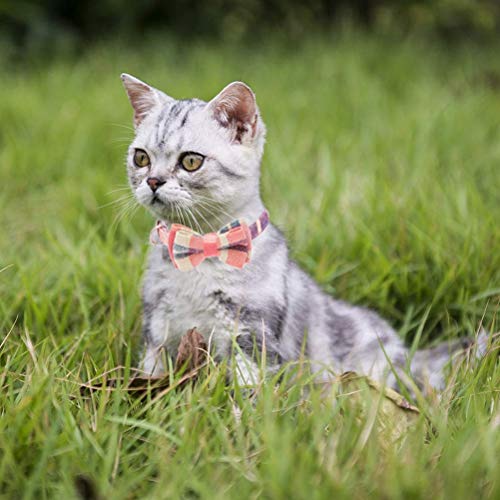 Image of Pets Empire Adjustable Dog Cat Collar with Bowtie, Safety Breakaway pet Collars for Cats Puppy and Small Dogs 1 Piece (Red) Adjustable from 8. 85-11 inch, 0. 4 inch in Width