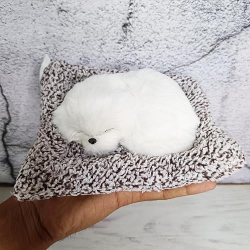 Image of Ascension Resin Sleeping Cute Dog for Car Dashboard and Home Decor with Activated Carbon for Decoration Toy Decorative Showpiece Car Accessories Interior Dashboard Decoration Good Gifts (Design 3)
