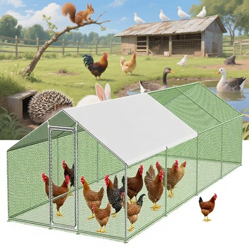 Moubhjd ^ bL| { O { {y ϋv p _p ό hJ h/Oh~ Ƌ׃P[W ETMnb` ʒ Aq K`E sp `L Aq ETM̐np P[W gݗĊȒP(Size: