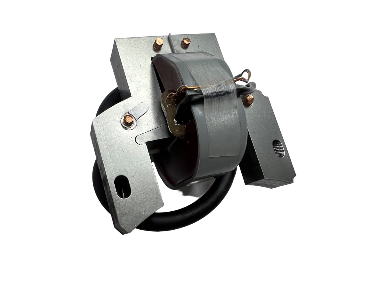 Amazon.com: ENGINERUN Ignition Coil Module Magneto for