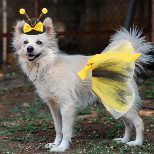 Disfraz Abeja para Perros Pequeños Multi Tamaño miniatura 4