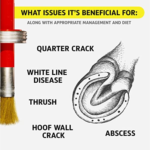 Foto von Hoof Doctor - White Line | Thrush | Abscesses | Quarter Crack | Seedy Toe | Sole Bruises - 100% All-Natural Hoof Care Product - Birch Bark Extract, Betulin, Omega-3 with Vits A & D (473 ml)