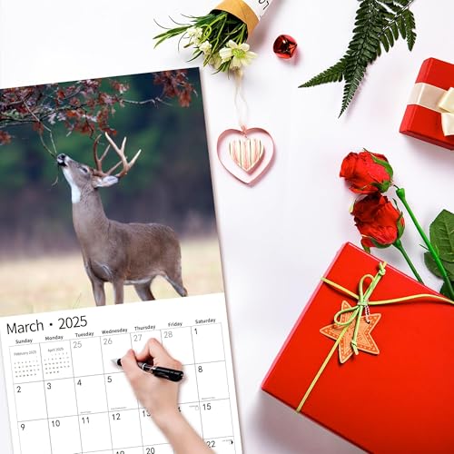 2025wallcalendarcalendar2025january2025december2025wallcalendarwhitetaildeer12x24openedfullpagemonthsthicksturdypaperforgiftperfectcalendarorganizingplanning  Urban Country Home Decor 2025 wall calendarcalendar 2025 january 2025 december 2025 wall calendar whitetail deer 12 x 24 openedfull page months thick sturdy paper for gift perfect calendar organizing planning  urban country home decor