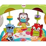 Fisher-Price B00NFETGHQ lato 3