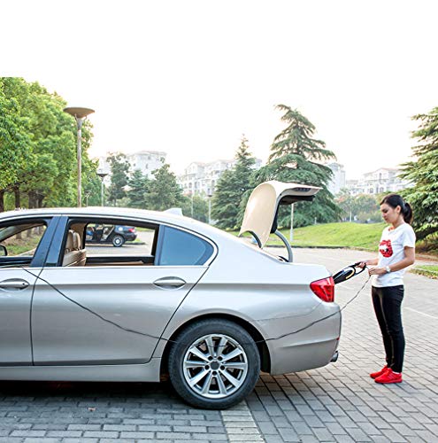 Aspirapolvere con Cavo per Auto, 120 W DC12-Volt