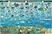 Bora Bora Map & Guide to the Polynesian Reef Waterproof Fish Card