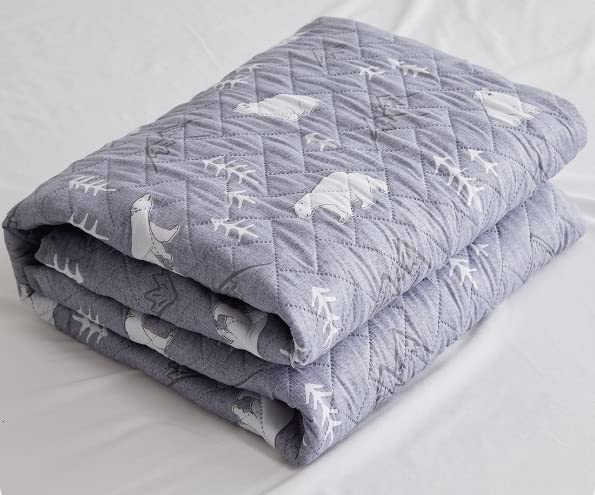 HanIl Polar Bear Electric Heating Mat Electric Warming Mattress Pad with Temperature Controller (Medium Size)