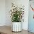 COLOtime 3Pack Bamboo Trellis 16 Inch Fan Shaped Small Plant Trellis for Indoor Potted Plants Climbing Monstera Orchid Vine Hoya Houseplant