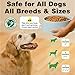 Dog Dental Powder, Teeth Cleaning Powder for Dogs, Plaque & Tartar Remover for Pet Oral Care - Fresh Breath & Teeth Cleaning Made Easy - Natural Herbal Blend + Probiotics - 75 Servings(150g) (Mint)