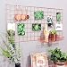 Simmer Stone Rose Gold Wall Grid Panel for Photo Hanging Display & Wall Decoration Organizer, Multi-functional Wall Storage Display Grid, 5 Clips & 4 Nails Offered, Set of 1, Size 17.7"x37.4"