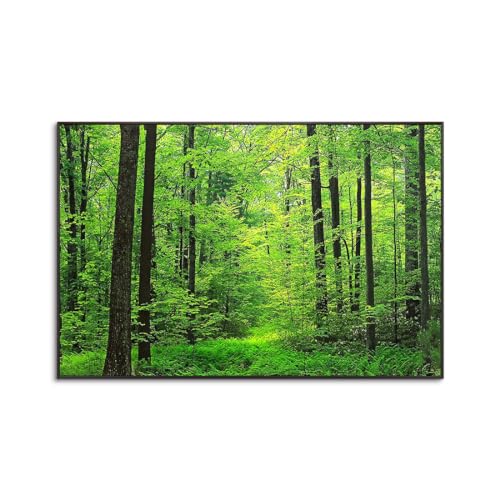 A[gpl X G z |X^[ iʐ^ ؂̊G CeA  X̕i G  C J^  A~g̊i (H,50x70cmi20x28inj)