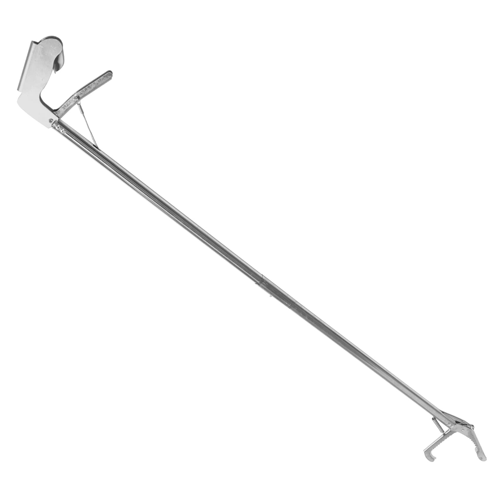 4 pezzi pinzette for rettili serpente acciaio inossidabile strumenti for granchio strumento for raccogliere lettiera strumento for afferrare strumento for afferrare serpente Pinze for serpenti Pinze f