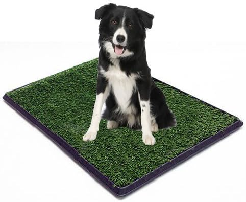 Replacement Grass (Turf) for Dog or Cat Potty Trays - Fits Trays 20" Inches x 30" Inches