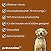 Zeckenhalsband für Hunde (2er Pack) - 100% Natürliche Inhaltsstoffe - bis zu 8 Monate wirksamer Schutz gegen Zecken, Flöhe und Läuse - Universell passend