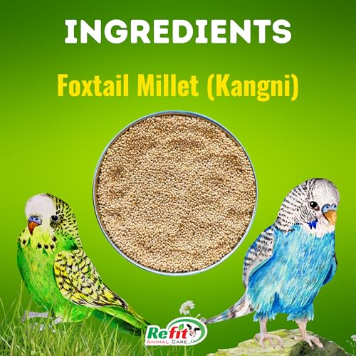 Image of REFIT ANIMAL CARE Foxtail Millet for Birds | Kangni Seeds | Bird Food | 450 gm X 25 | Pack of 25